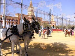 Feria in Cordoba
