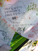 Drawings, notes, and photographs posted on the gate of the bridge separating South from North Korea, from families who had been separated during the war